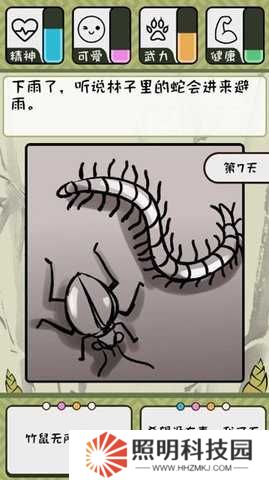 竹鼠活下去最新版
