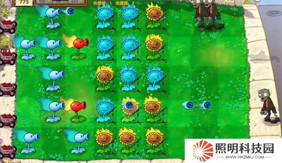 植物大战僵尸启命版1.0