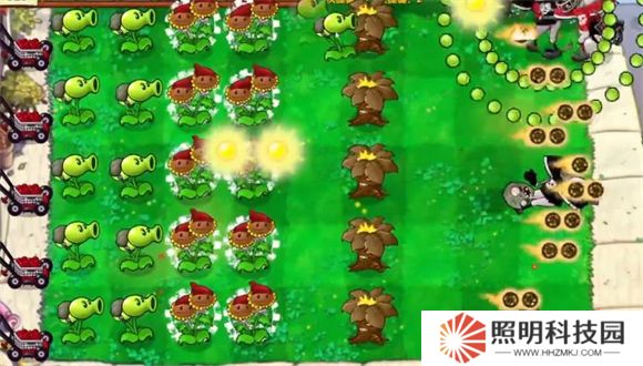 植物大战僵尸启命版1.0