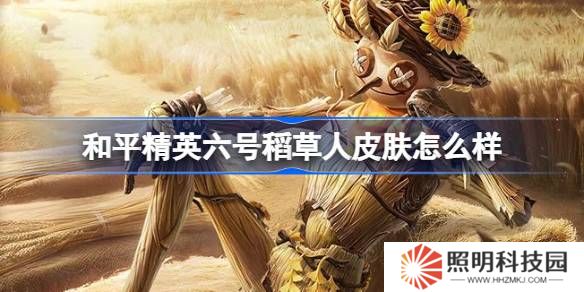 和平精英六号稻草人怎么样-和平精英六号稻草人皮肤价格
