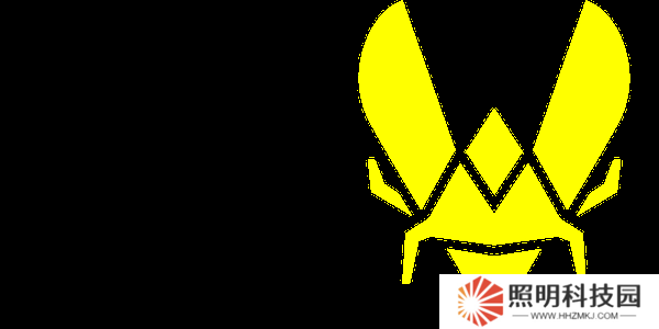 2025一骑绝尘的Vitality是王朝队伍吗？