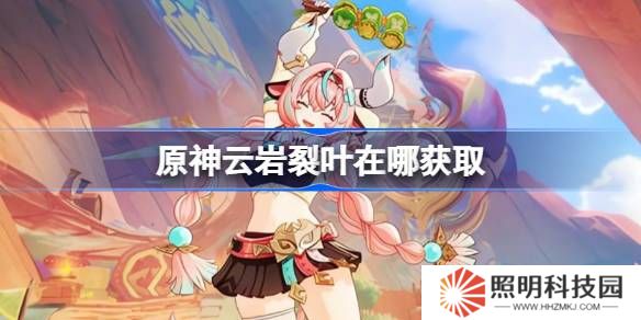 原神云岩裂叶在哪获取-原神云岩裂叶位置大全