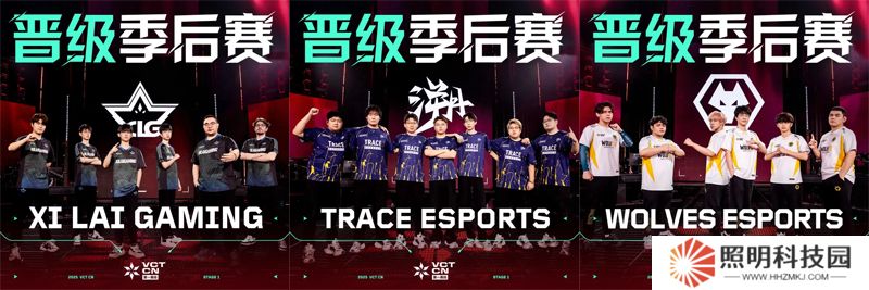 XLG/TE/WOL携手晋级季后赛，Omega组季后赛名额全部出炉