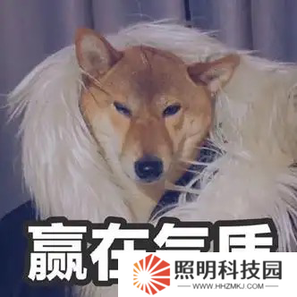 女大晒清凉穿搭，评论区炸锅：这就是让街拍师追了三条街的秘密？