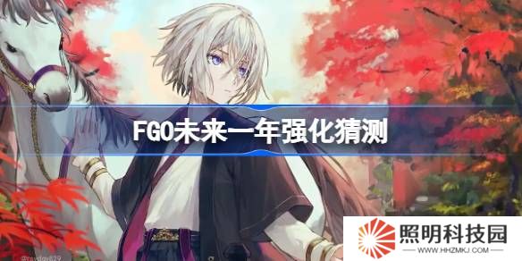 FGO未来一年该怎么选择强化-FGO未来一年强化猜测