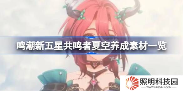 鸣潮新五星共鸣者夏空养成素材一览-鸣潮新五星共鸣者夏空养成素材有哪些