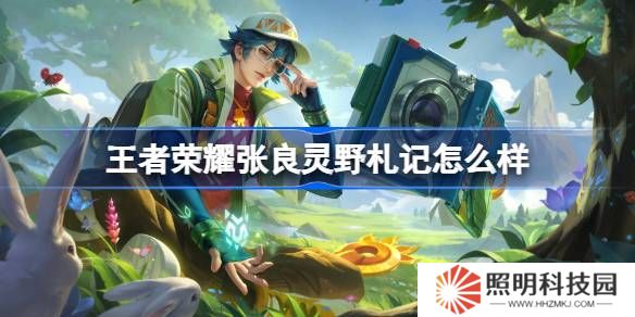 王者荣耀张良灵野札记么样 王者荣耀张良灵野札记皮肤特效一览