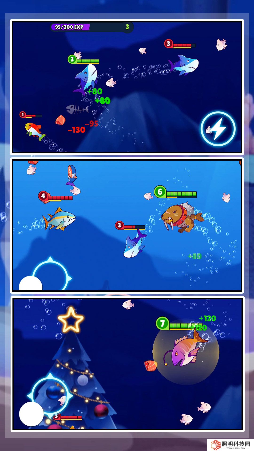 深海狂噬 v1.0.5-狂暴鲨鱼吞噬鱼族