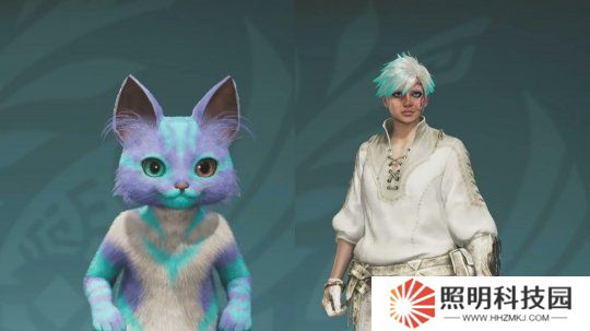 辻本良三：已经尽力优化了《怪物猎人：荒野》
