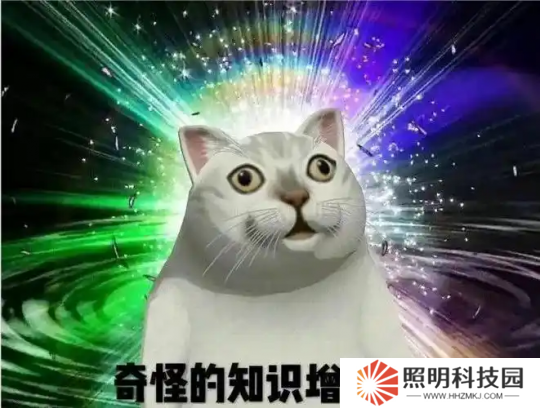 黄金服又双叒叕发钱了，全服抢12个装备位，榜首直接成网易股东