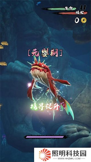 鲲也要修仙