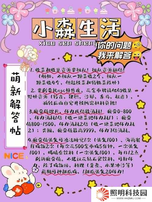 如何在小森生活游戏中高效获取并管理鸡蛋和鸡肉资源？