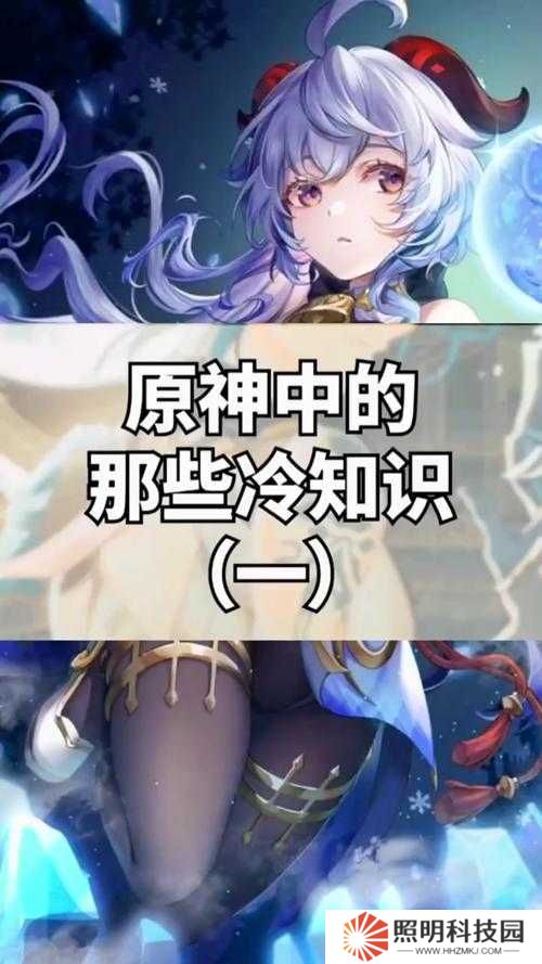 原神新手必看，前期有哪些实用知识能助你快速成长？