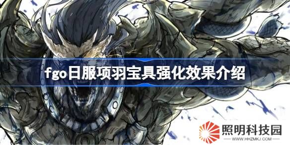 fgo日服项羽宝具强化效果介绍-fgo日服项羽宝具强化效果怎么样
