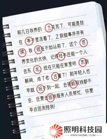 犯罪大师羊皮卷谜题揭晓，答案及深度解析何处寻？
