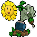 植物大战僵尸三人版