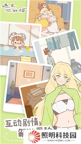 遇见你的猫正版