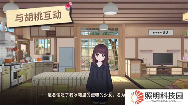 胡桃日记中文版
